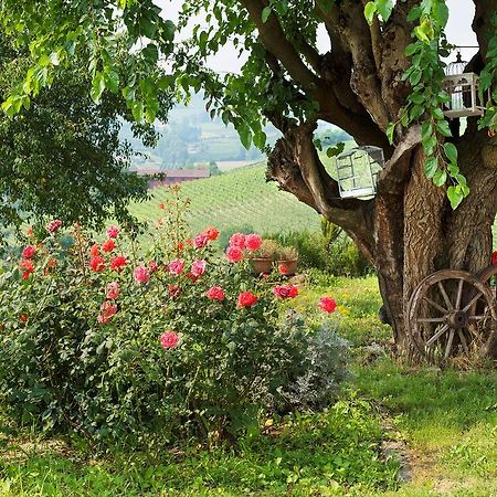 Agriturismo Albarossa Nizza Monferrato Exterior foto