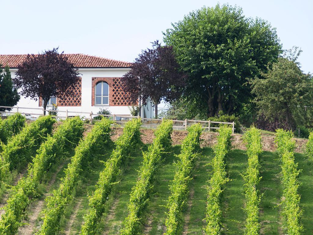 Agriturismo Albarossa Nizza Monferrato Exterior foto