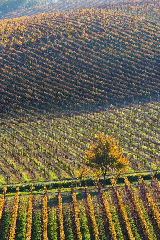 Agriturismo Albarossa Nizza Monferrato Exterior foto