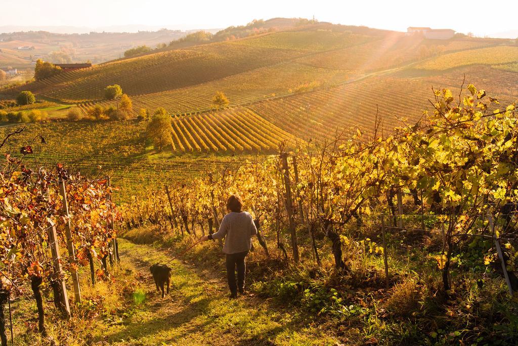 Agriturismo Albarossa Nizza Monferrato Exterior foto