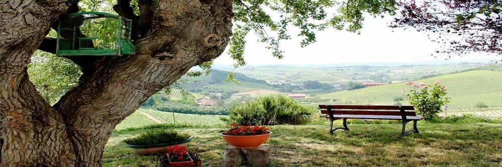 Agriturismo Albarossa Nizza Monferrato Exterior foto