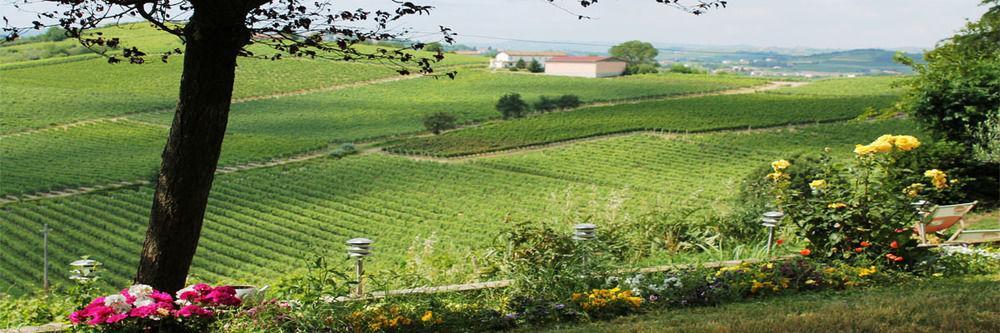 Agriturismo Albarossa Nizza Monferrato Exterior foto