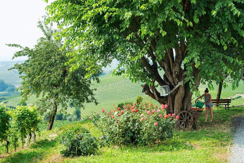 Agriturismo Albarossa Nizza Monferrato Exterior foto