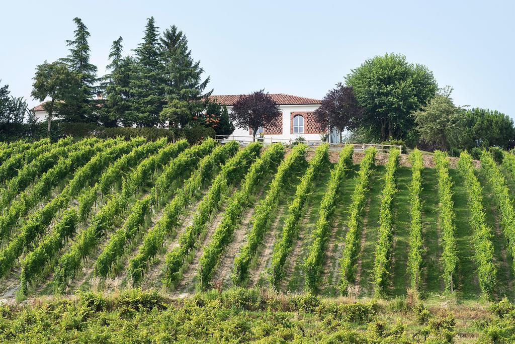 Agriturismo Albarossa Nizza Monferrato Exterior foto